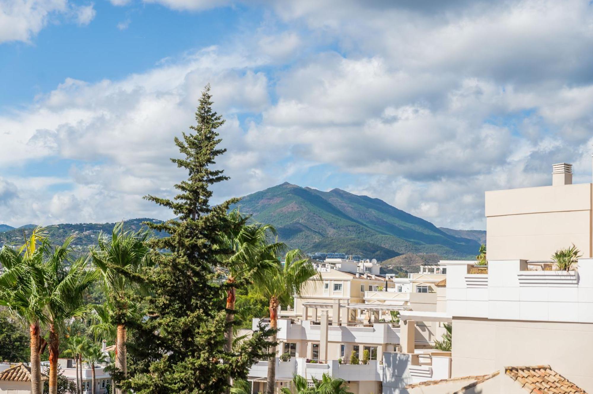 Newly Renovated Sunlit 3bdrm With Stunning Views Apartment Marbella